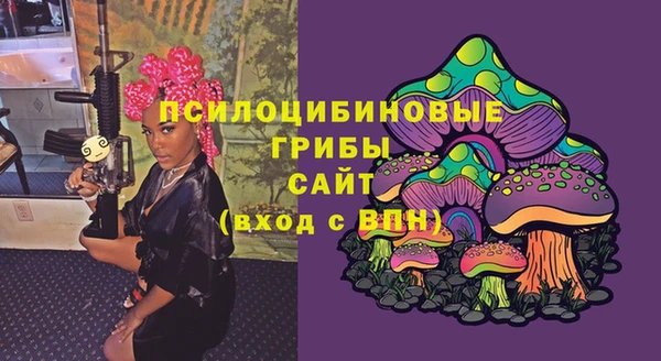 ГАЛЛЮЦИНОГЕННЫЕ ГРИБЫ Яровое