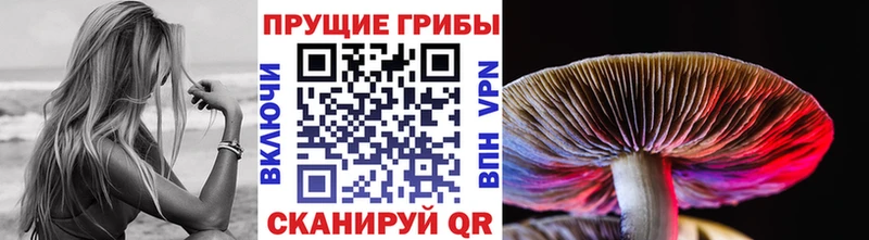 Псилоцибиновые грибы Psilocybine cubensis  Ужур 